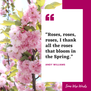 194 Best Quotes about Roses and Their Beauty